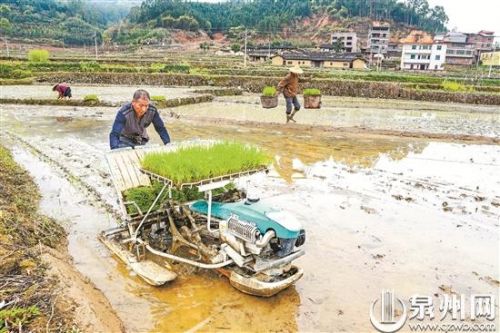 泉州市春耕备耕使命周全铺开 惊蛰听春声 田间耕作忙